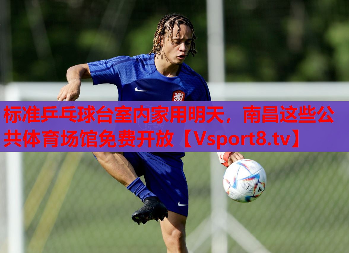 標(biāo)準乒乓球臺室內(nèi)家用明天，南昌這些公共體育場館免費開放