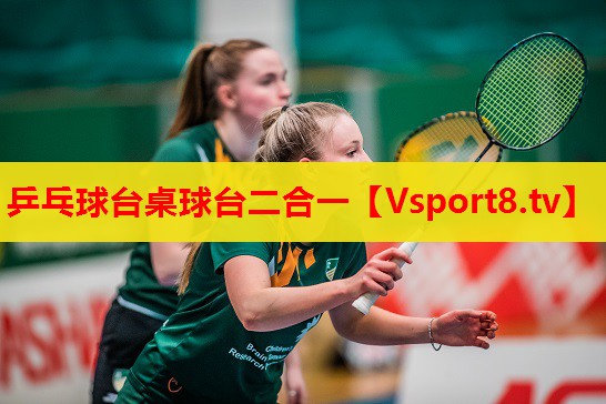 乒乓球臺桌球臺二合一